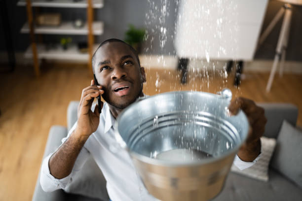 Best Flood restoration services  in Chariton, IA
