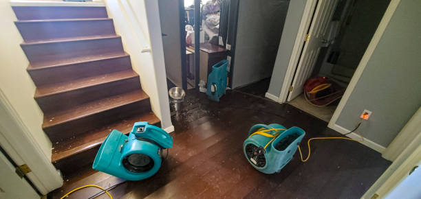 Water damage restoration mold remediation in IA