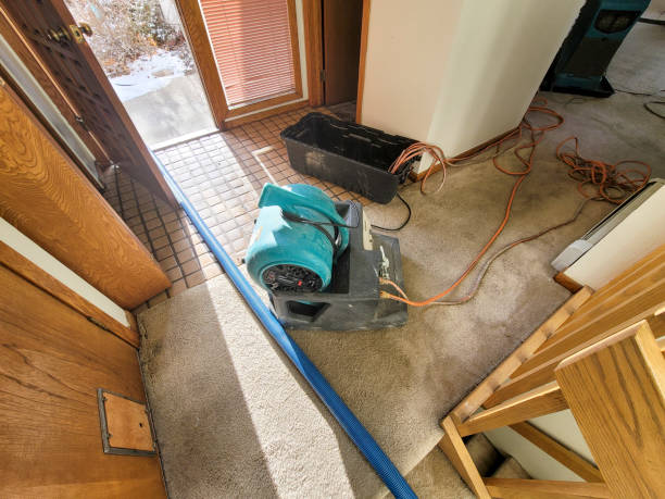 Best Carpet water damage restoration  in Chariton, IA