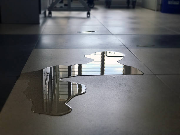 Best Carpet water damage restoration  in Chariton, IA