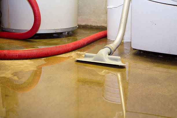 Best Local water damage restoration  in Chariton, IA