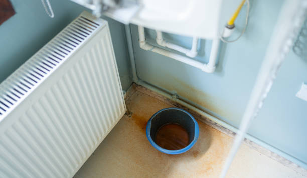 Best Water damage cleanup near me  in Chariton, IA