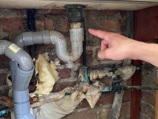 Best Flood damage cleanup  in Chariton, IA