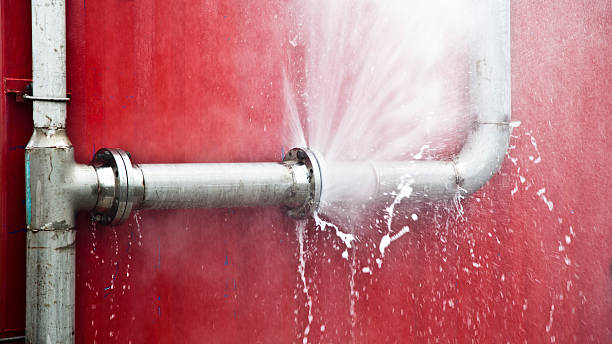 Best Professional water damage repair  in Chariton, IA